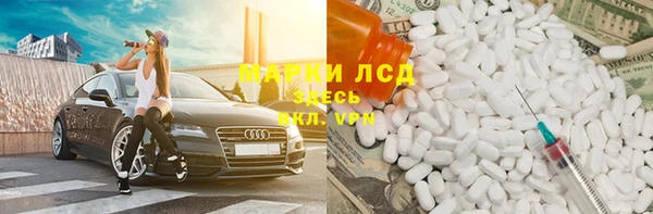 шишки Сосновоборск