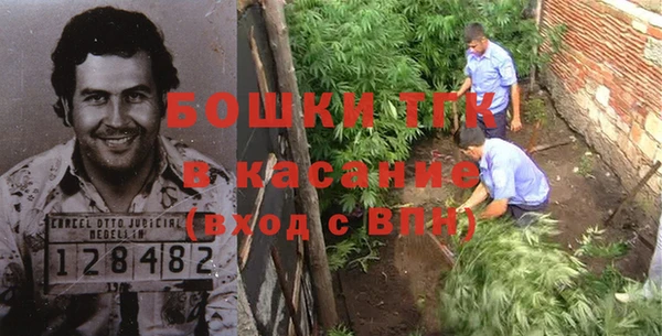 шишки Сосновоборск
