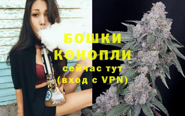 шишки Сосновоборск