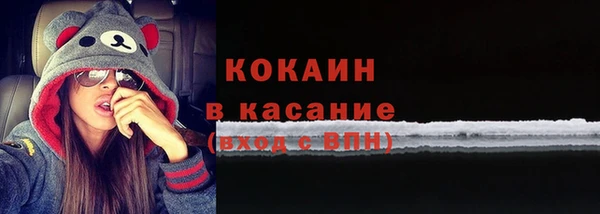 шишки Сосновоборск