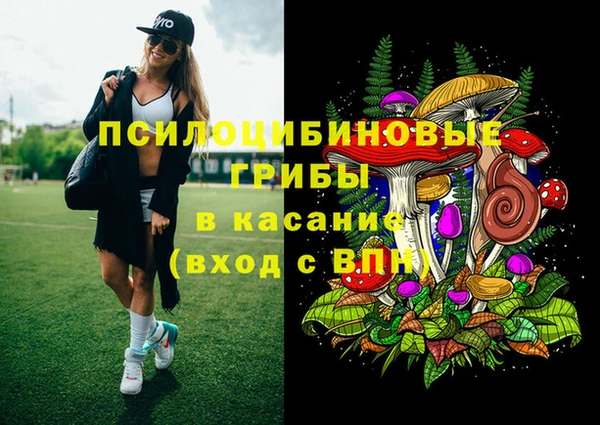 гидропоника Сосновка