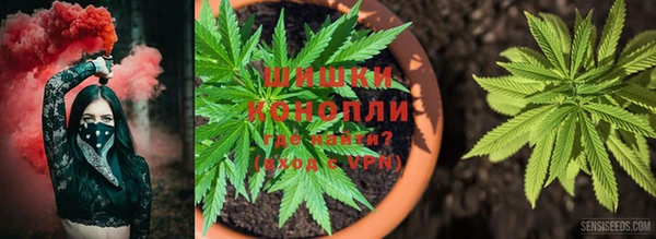 шишки Сосновоборск