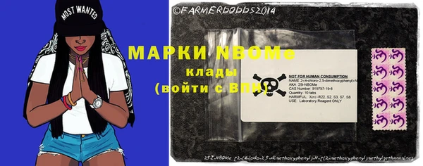 шишки Сосновоборск