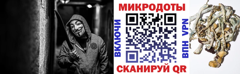 Купить закладки  Нарьян-Мар  Галлюциногенные грибы Psilocybe 